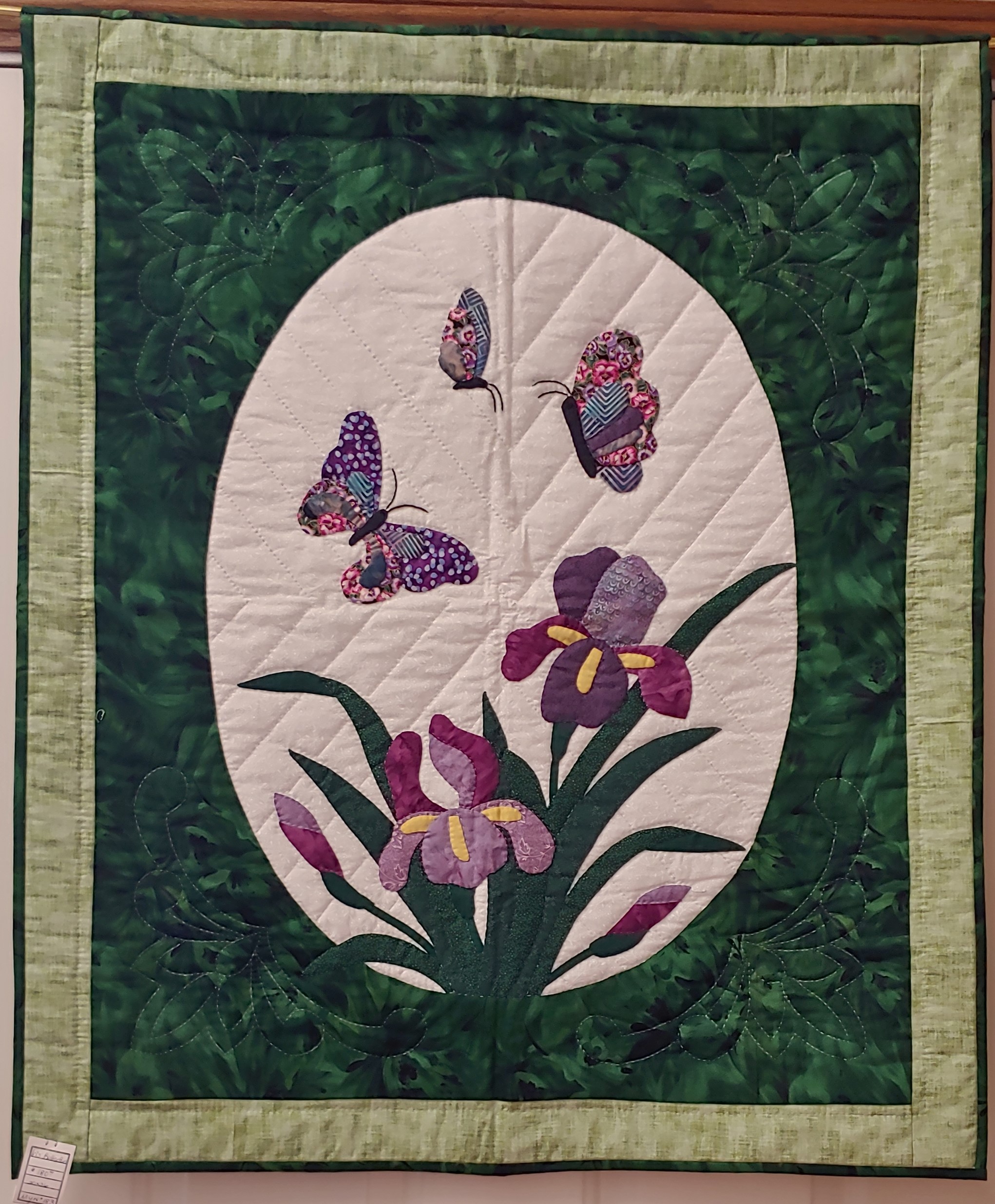 Iris Butterflies-image
